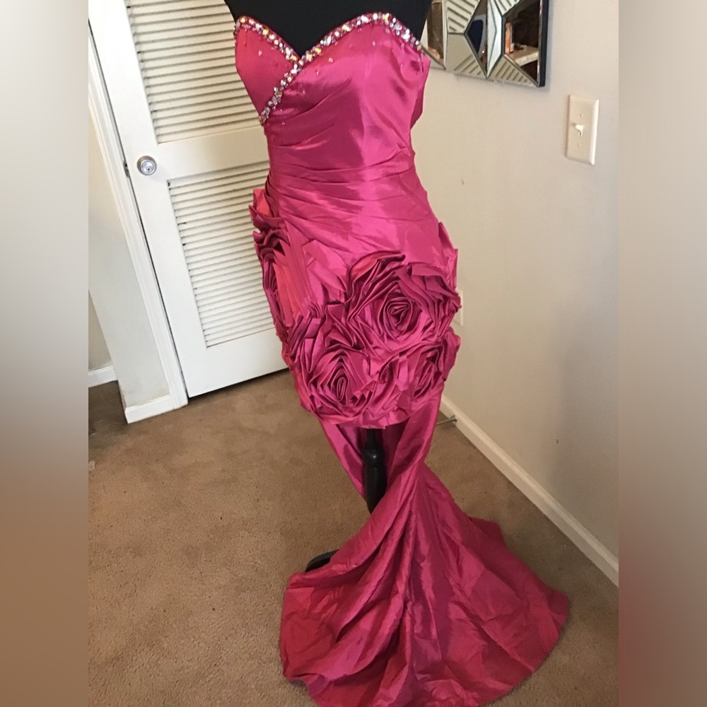Roses pink gown